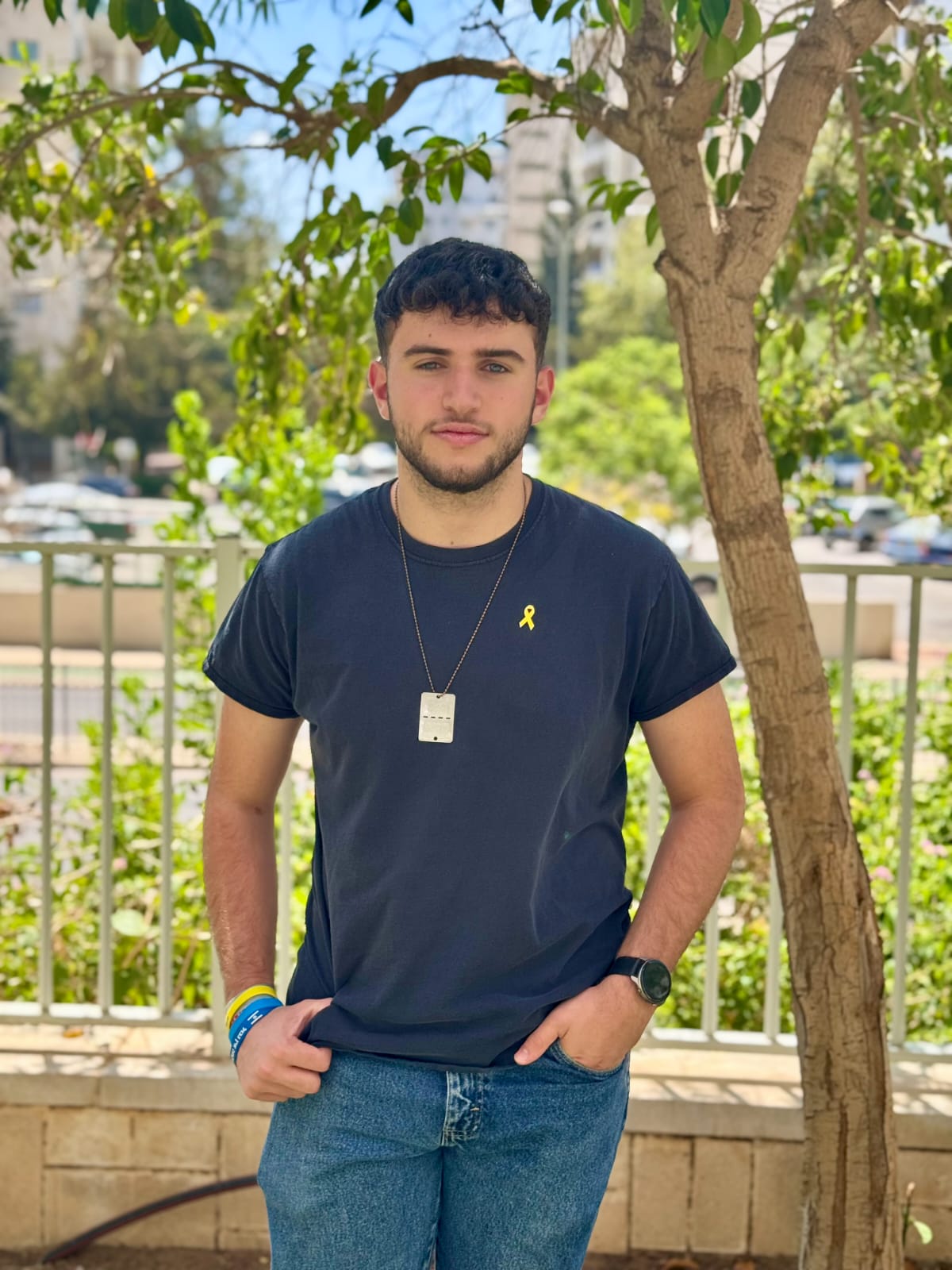 תומי דניאלי - עשייה במועצות